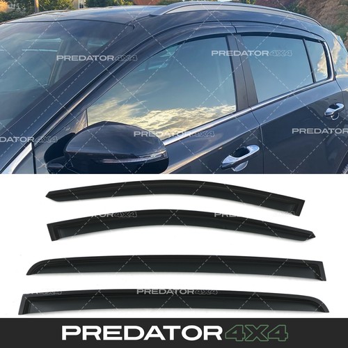 Black wind deflectors - door, sun