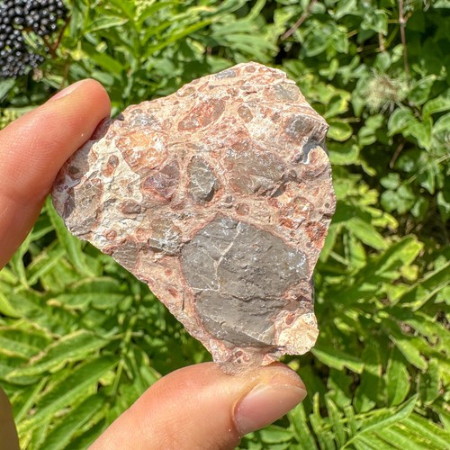 Rough leopardite jasper - rough,