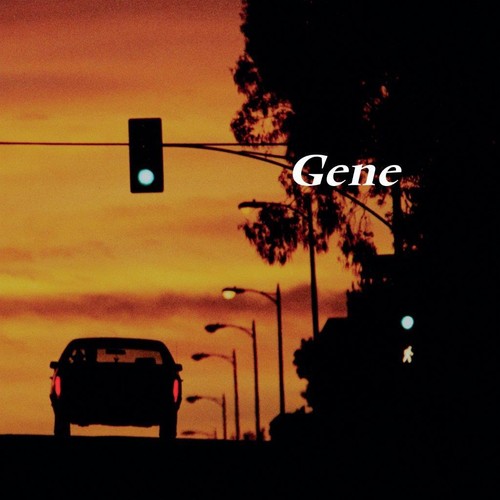 Gene rising for sunset - gene,