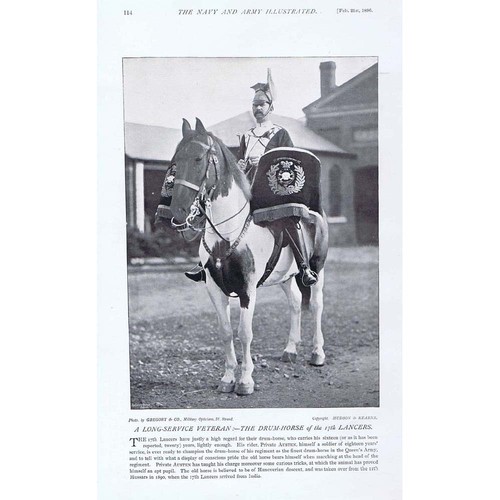 The drum horse 17th - horse,