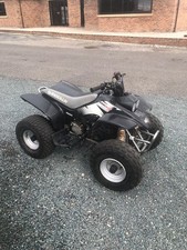 Quad Bike Quadzilla R100