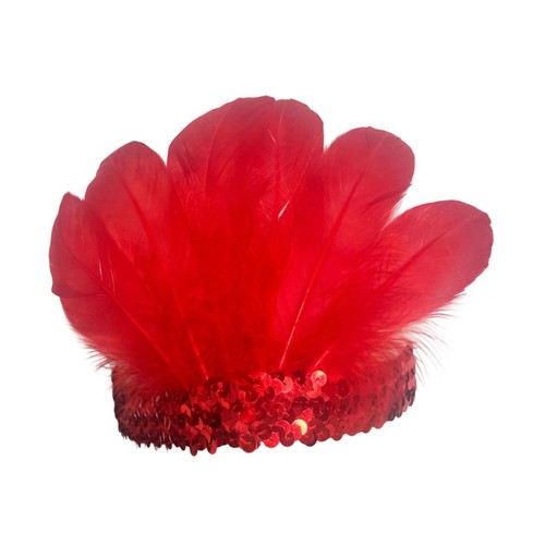 Feather headband - feather,