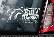 Staffy car sticker - car,