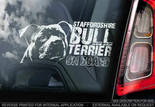 Staffy car sticker - car,