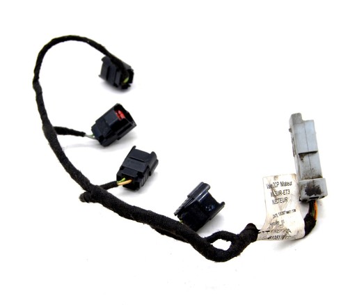 Fuel injector wiring loom - wiring,