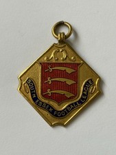 South Essex Football League