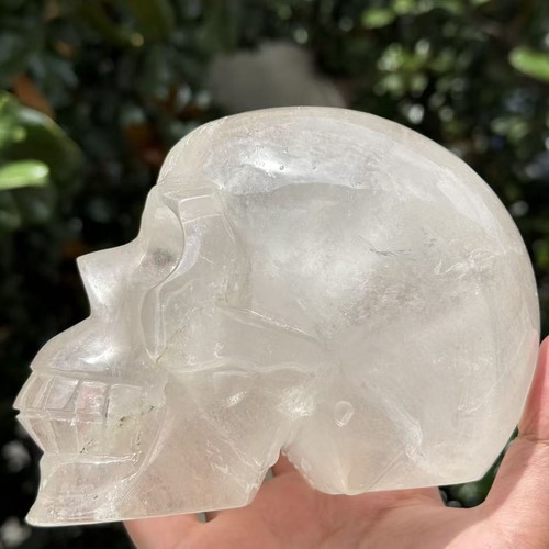 8lb large hand - hand, clear