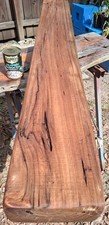 60" LONG Old Growth Underwater