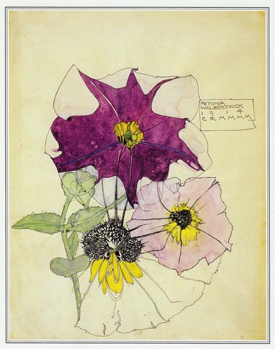 Petunia walberswick charles - walberswick,