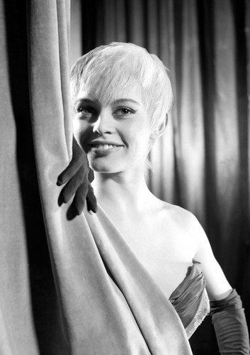 Brigitte bardot monochrome - brigitte,