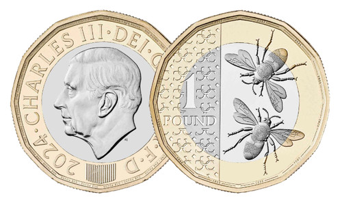 One pound coin 2016 - 2016, to