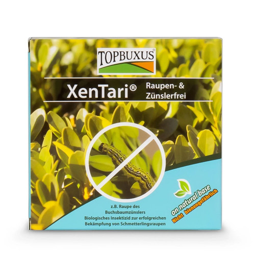 Topbuxus xentari boxwood - xentari,