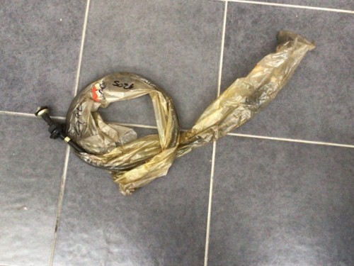 Austin montego petrol carb - austin,