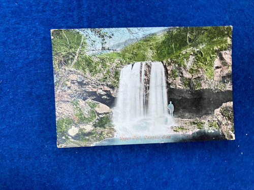 Vintage postcard campsie - vintage,