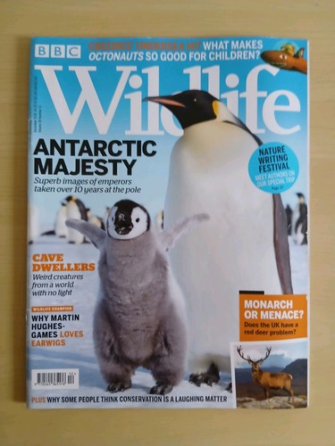 Bbc wildlife december - bbc,