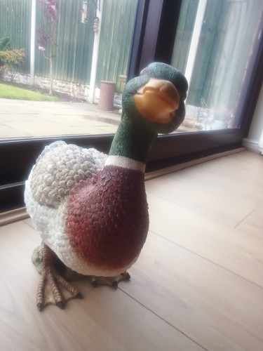 Leonardo mallard duck - duck, lifesize