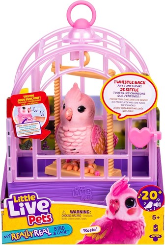 Little live pets really - little,
