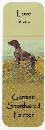German shorthaired pointer dog - german,