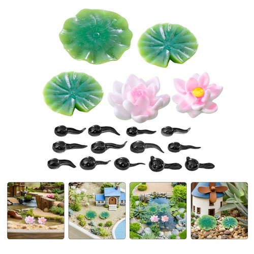 Aquarium floating plants - aquarium,