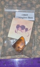Collection of insects in amber with fossil shell, worm and shrimp.