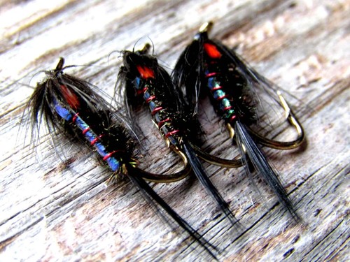 Ifs killer cruncher nymph - killer,