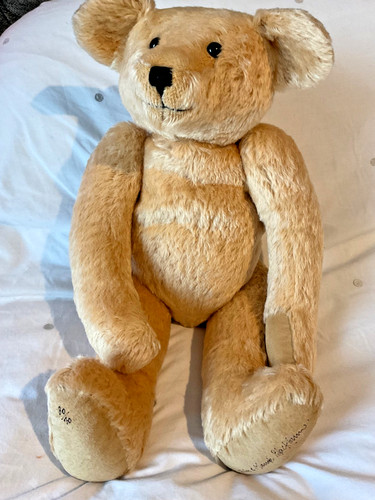 Canterbury bears archie - canterbury,