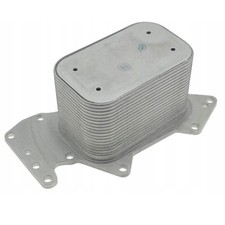 Radiator Engine Oil Heat Exchanger VW Phaeton 3D1 3D2 3.0 V6 Tdi 4moti 233cv