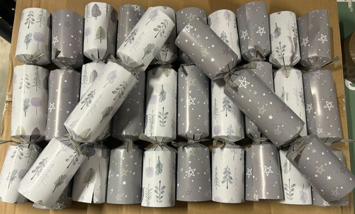 Christmas crackers silver - x,