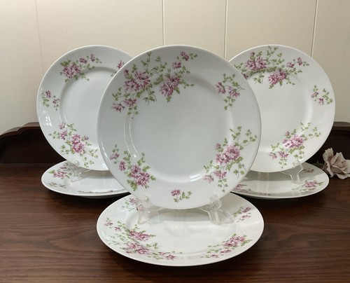 Antique limoges salad plates - 6,