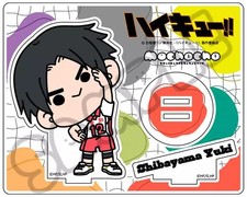 Acrylic stand/acrylic panel