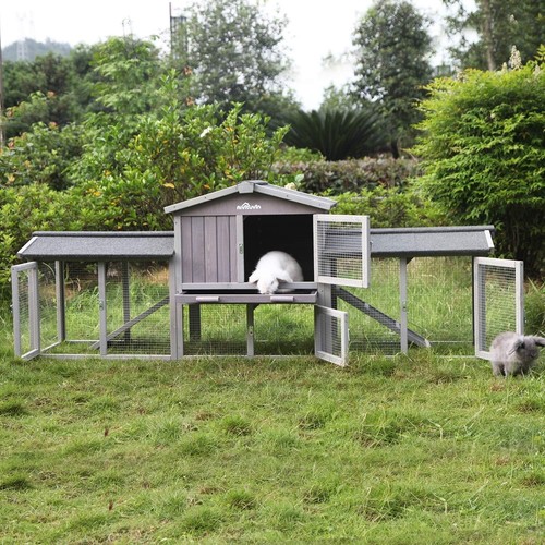 Rabbit hutch bunny - rabbit,