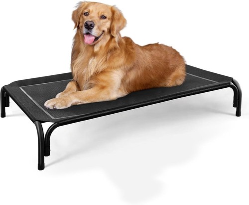 Elevated dog bed - cat, mesh