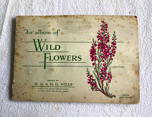 Will album of wild - will's,