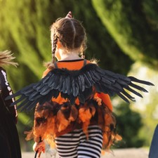 Wings Halloween Cosplay