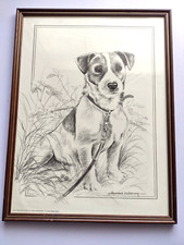 Pollyanna Pickering 1983 Repro Pencil Print Number 09 Jack Russell vintage