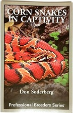 Title corn snakes - corn,