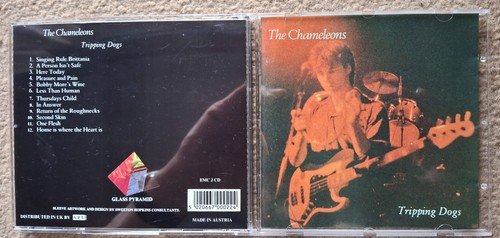 The chameleons tripping dogs - chameleons,