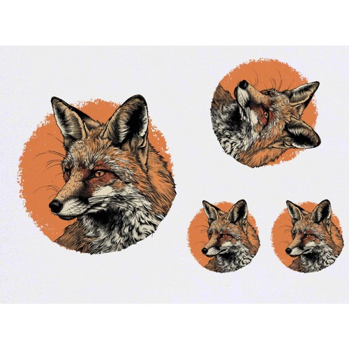 Fox portrait temporary - 4, portrait'