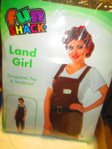 Adult fancy dress funshack - adult,
