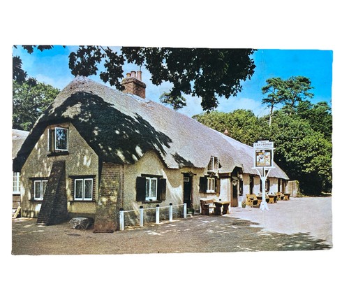 Cat and fiddle inn new - cat,