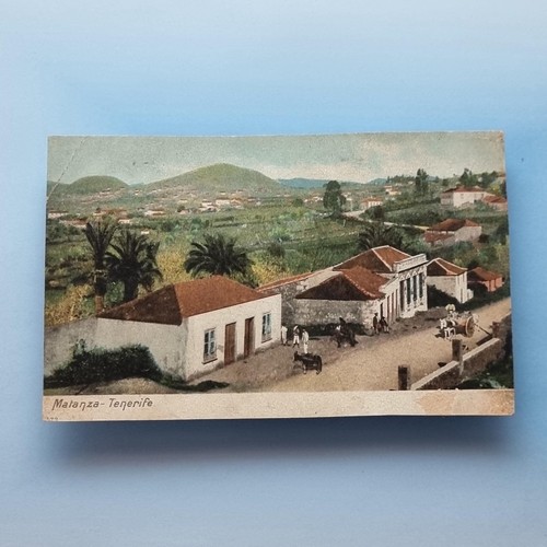 Malanza tenerife postcard - tenerife,