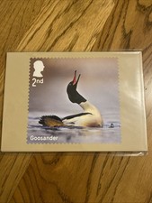 PHQ Postcards 2025 Set 551 - DUCKS - Sealed Packet - 10 Cards