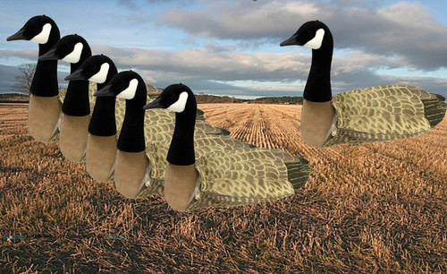 Goose decoys sillosock canada - decoys,