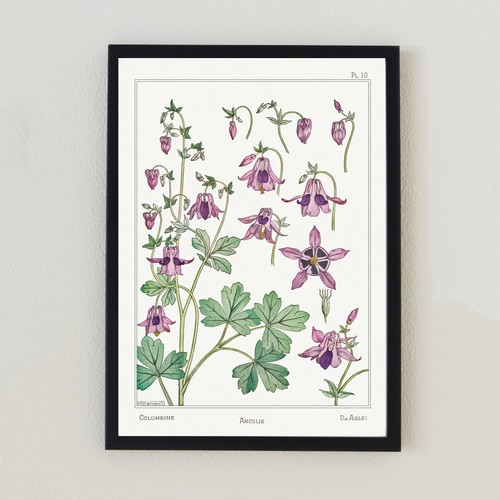 Vintage flowers botanical - vintage,