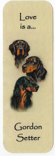 Gordon setter dog bookmark - setter,