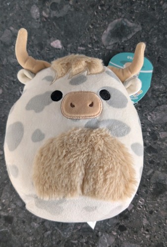 Borsa the highland cow - borsa,