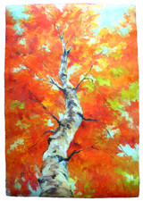 Birch tree Original Oil