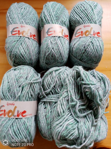 Wendy evolve chunky green 500g - wendy,