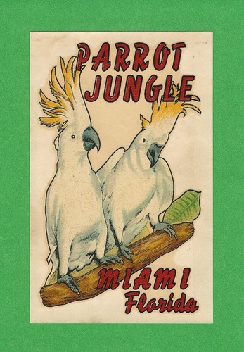Vintage original 1951 souvenir - original,