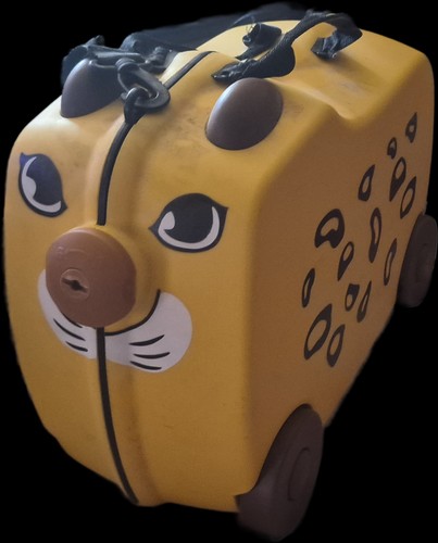 Unused fun leopard - unused,